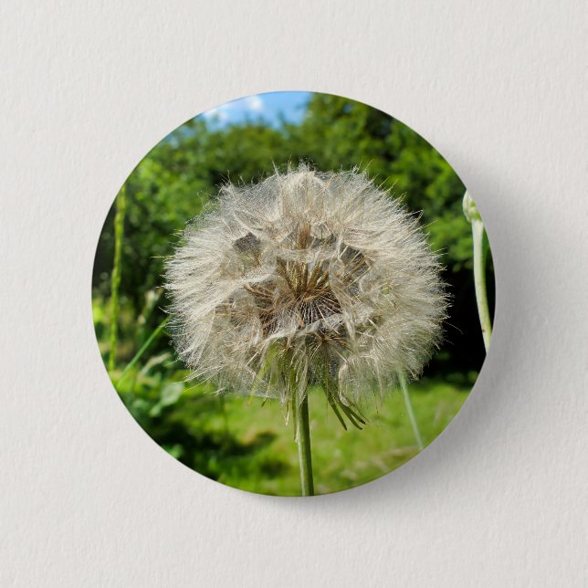 Goatsbeard Wildflower Badge (Front)