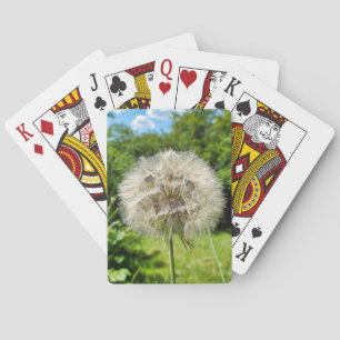 Goatsbeard Wildflower Playing Cards