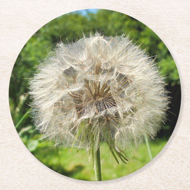 Goatsbeard Wildflower Round Paper Coaster (Front)