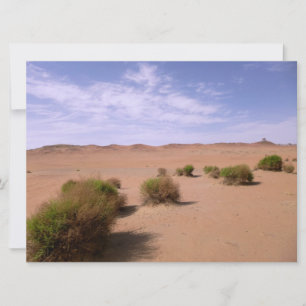 Gobi Desert View