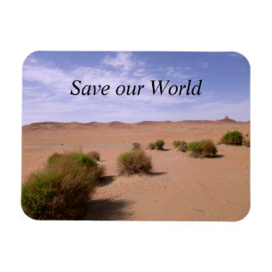 Gobi Desert View Magnet