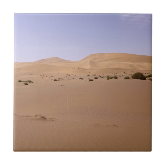 Gobi Sand Dune Ceramic Tile (Front)