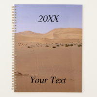 Gobi Sand Dune