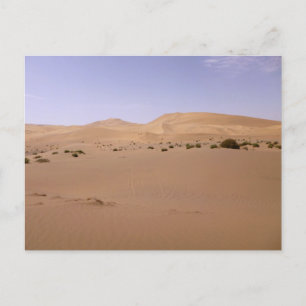 Gobi Sand Dune Postcard