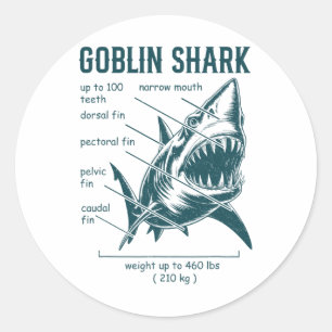 Goblin Shark Anatomy Marine Biologist Shark Classic Round Sticker