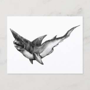 Goblin Shark - Postcard