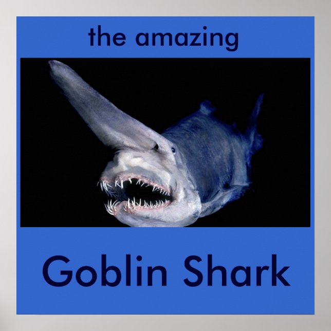 Goblin Shark Poster (Front)