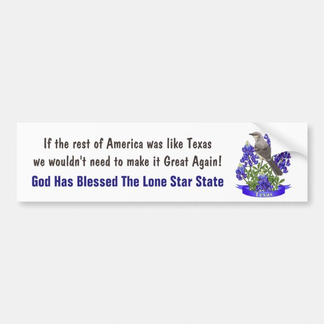 God Bless Texas Mockingbird & Bluebonnet Bumper Sticker (Front)