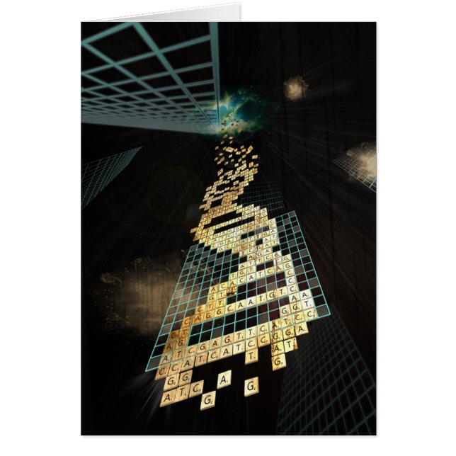 God doesn't play dice 2014 (Front)