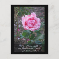 God forbid that I should know myself -Goethe quote