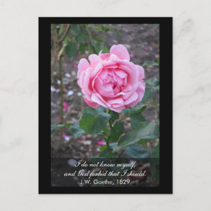 God forbid that I should know myself -Goethe quote Postcard