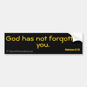 God has not forgotten you Christian Quotes Bumper Sticker