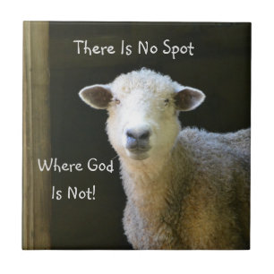 God Is Everywhere Sheep Ceramic Tile