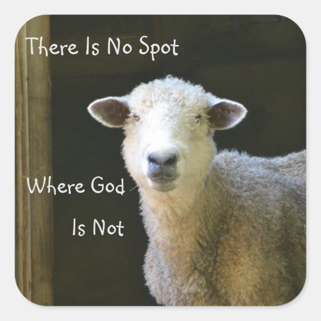 God Is Everywhere Sheep Square Sticker (Front)