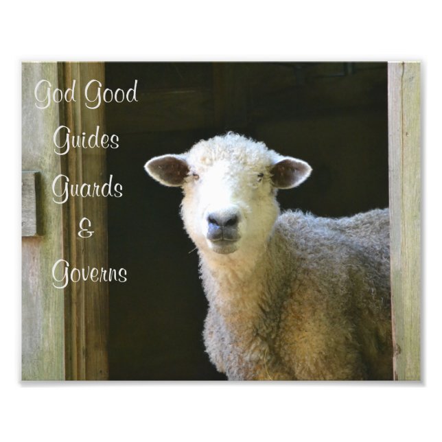 God Is Good Sheep Photo Print (Front)