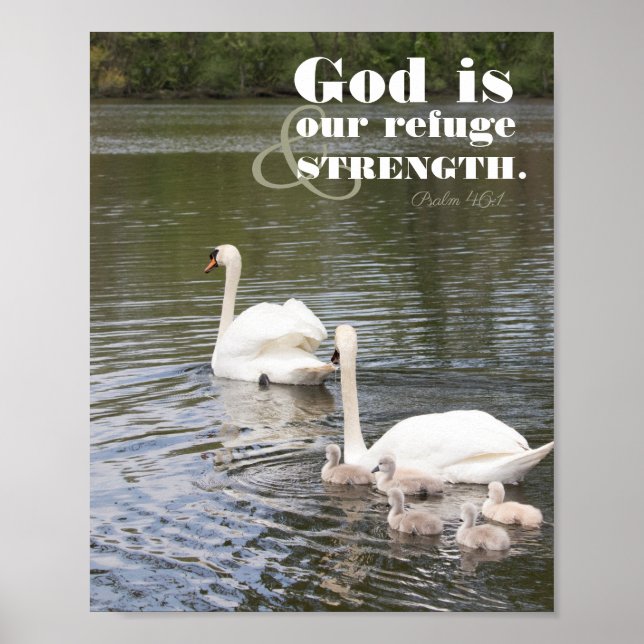 God is our Refuge Swan Photograph Poster (Front)