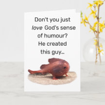 God’s Quirky Creation
