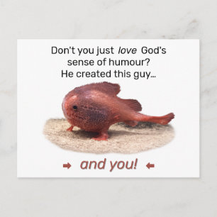 God’s Quirky Creation Postcard