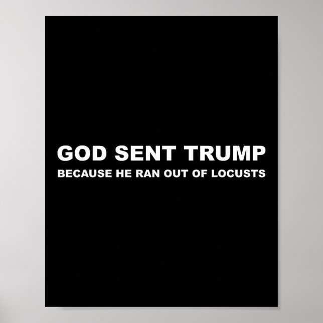 God Sent Trump Because He Ran Out Of Locusts Anti Poster (Front)