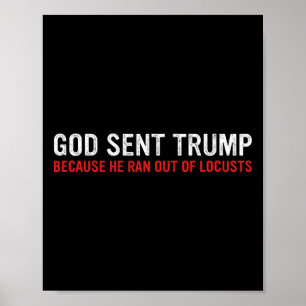God Sent Trump Because He Ran Out Of Locusts Funny Poster