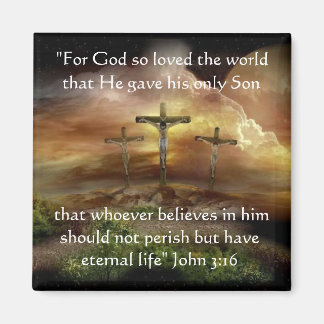 God so Loved the World Magnet