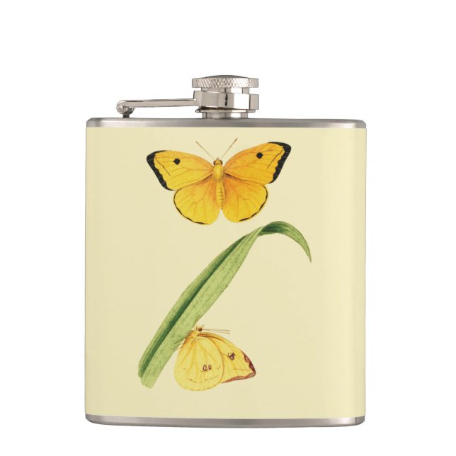 Godart's Colias Butterfly Hip Flask (Front)