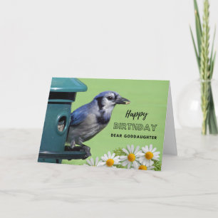 Goddaughter Birthday Blue Jay at Bird Feeder Card