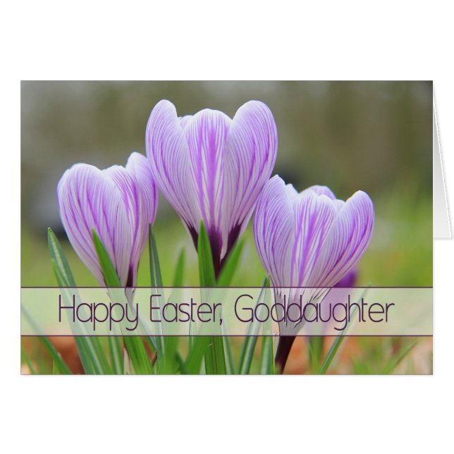 Goddaughter Happy Easter Purple crocuses (Front Horizontal)