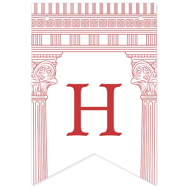 Goddess party with custom colour and temple bunting  (Second Flag)