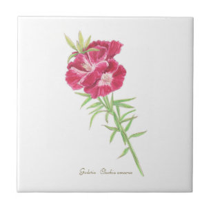 Godetia  ceramic tile