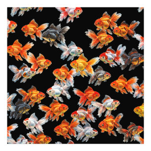 Godfish Parade Photo Print