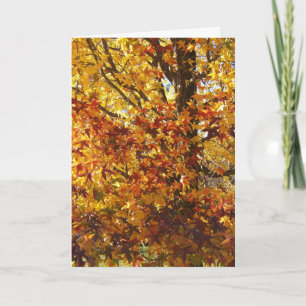 God's Autumn Glory Card