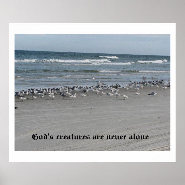 God's Creatures Are Never Alone 24" x 20" Poster (Front)