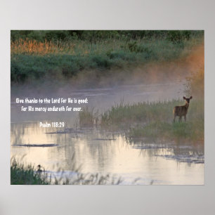 God's Goodness Poster