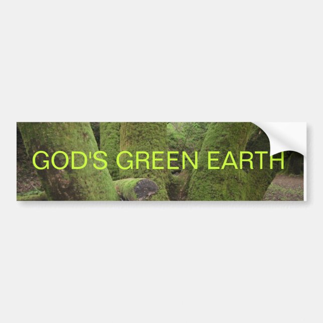 GOD'S GREEN EARTH BUMPER STICKER (Front)
