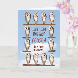 Godson Birthday, Curious Owls Card