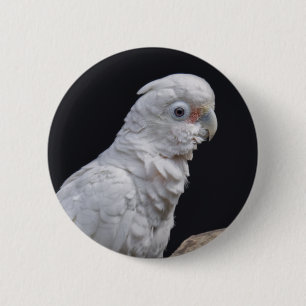 Goffin's Cockatoo Badge