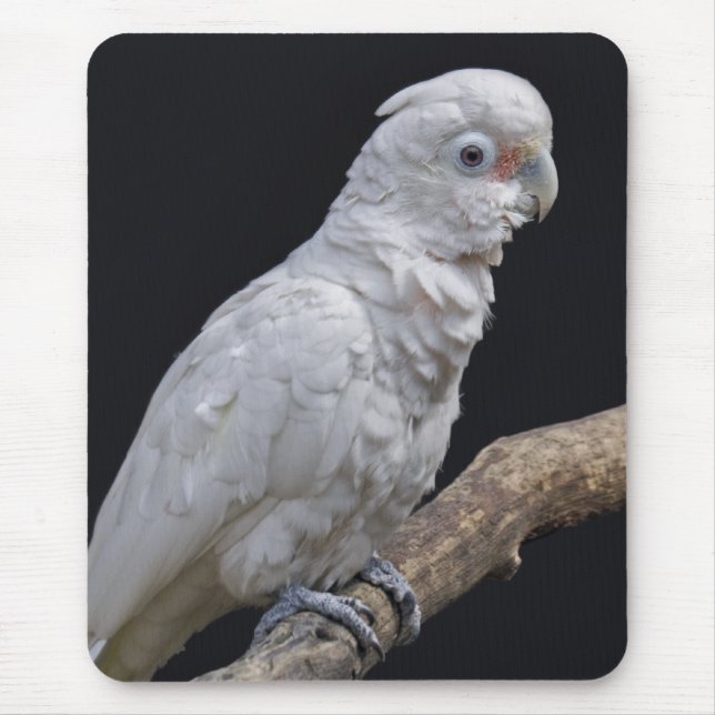 Goffin's Cockatoo Mousemat (Front)