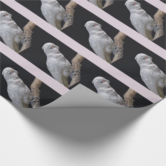 Goffin's Cockatoo Wrapping Paper (Corner)