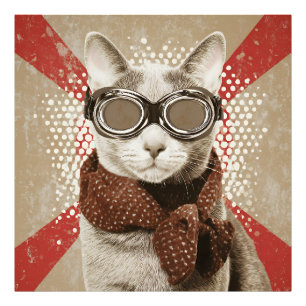 Goggle-Wearing Cat Scarf Retro Flag Portrait Photo Print