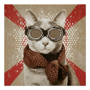 Goggle-Wearing Cat Scarf Retro Flag Portrait Poster