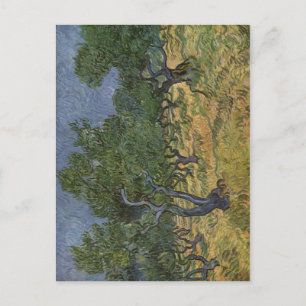 Gogh, Vincent van Olivenhain 1889 Technique ?l auf Postcard