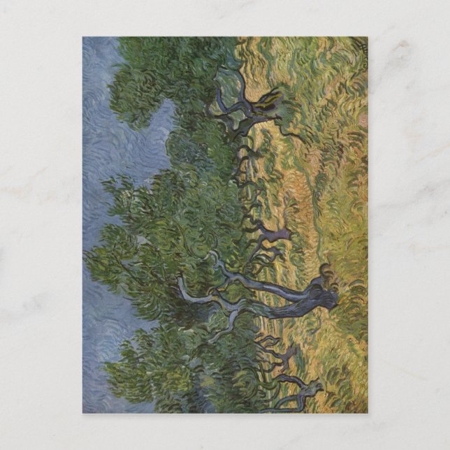 Gogh, Vincent van Olivenhain 1889 Technique ?l auf Postcard (Front)