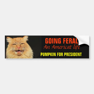 Going Feral - An Americat Life 2020 Bumper Sticker