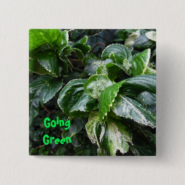 Going Green house plants 15 Cm Square Badge (Front)
