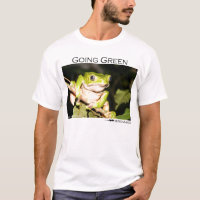Going green - tree frog