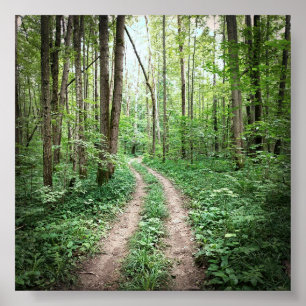 Going into the forest poster