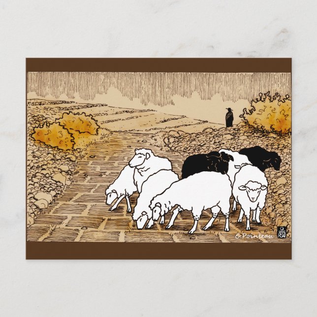 Going To Pasture Postcard (Front)