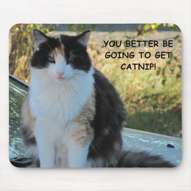 Going to the Store? Funny Cat Meme Mouse Pad (Front)