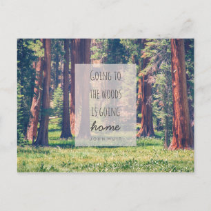 Going to the Woods   Postcard
